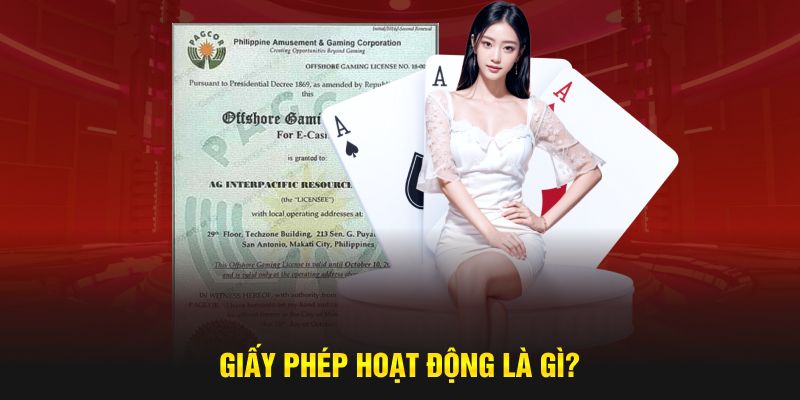 Giấy phép hoạt động là gì?