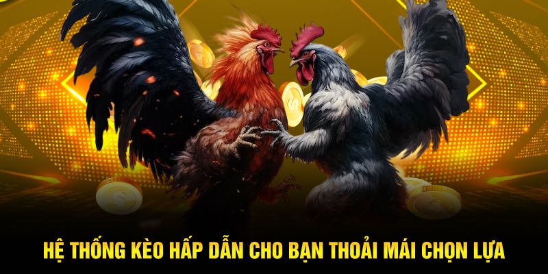 Hệ thống kèo hấp dẫn cho bạn thoải mái chọn lựa 