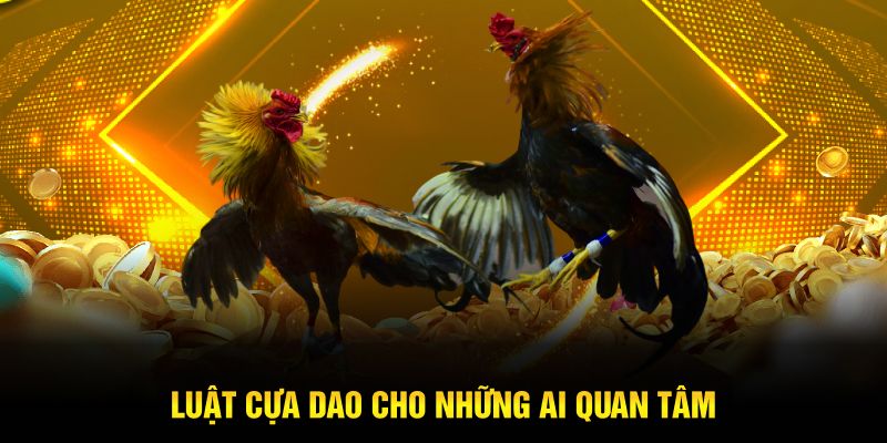 Luật cựa dao cho những ai quan tâm 