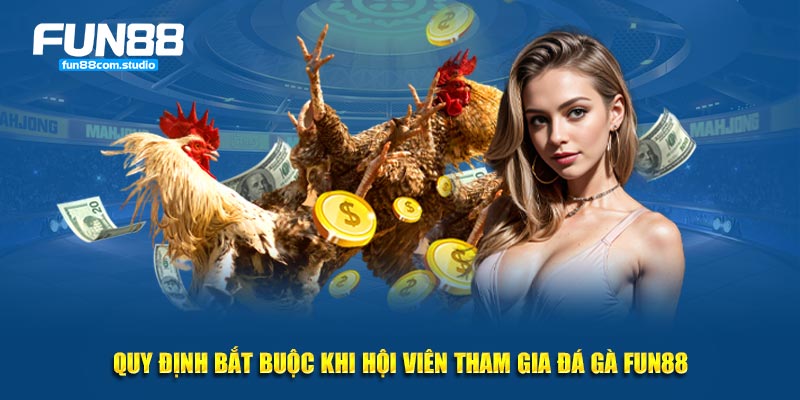 Quy định bắt buộc khi hội viên tham gia đá gà Fun88